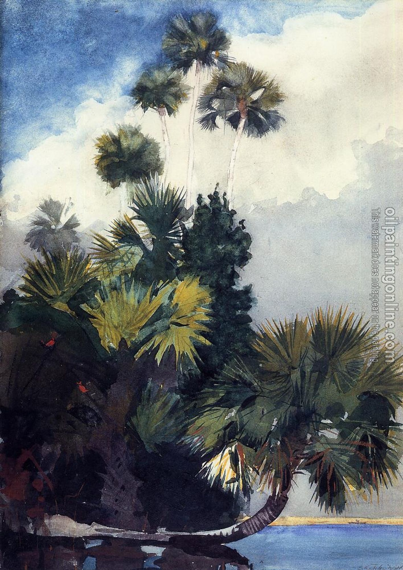 Homer, Winslow - Palm Trees, Florida